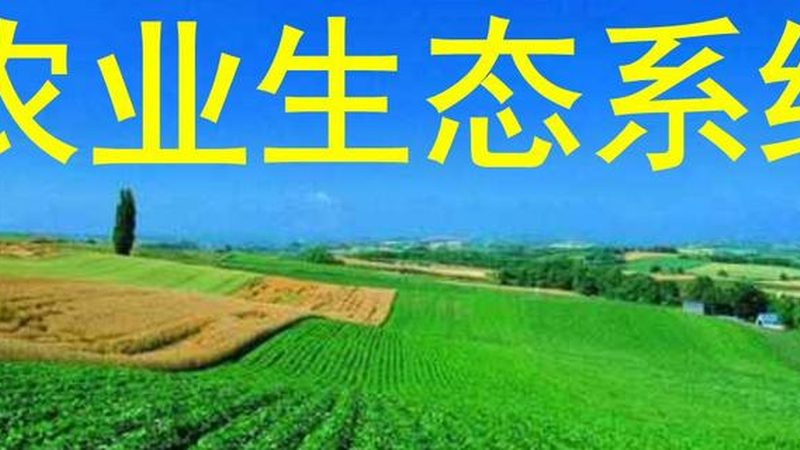 绿色食品加盟：揭秘总部选址与加盟要点