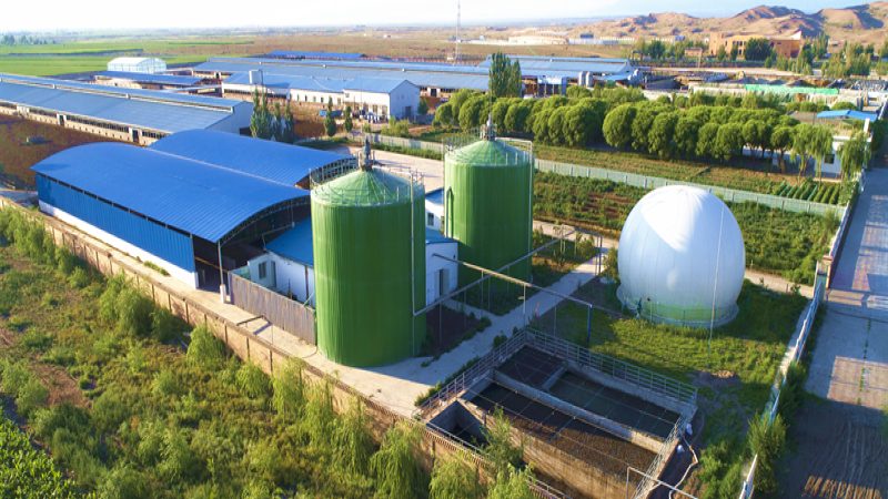 寿光农资批发市场：农资采购者的“一站式”服务基地