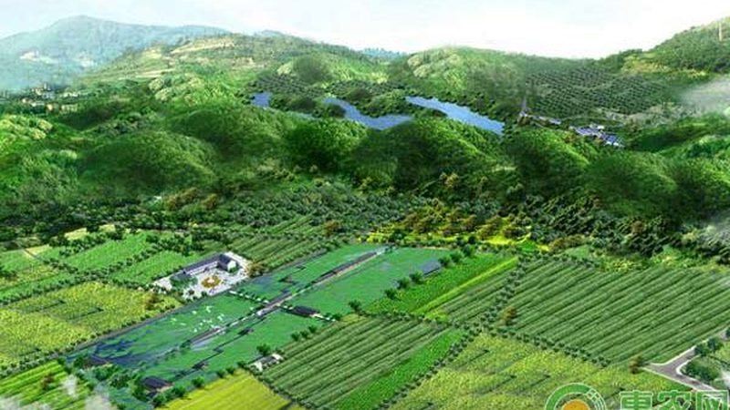 小成本果蔬配送平台加盟，如何精准定位市场？**