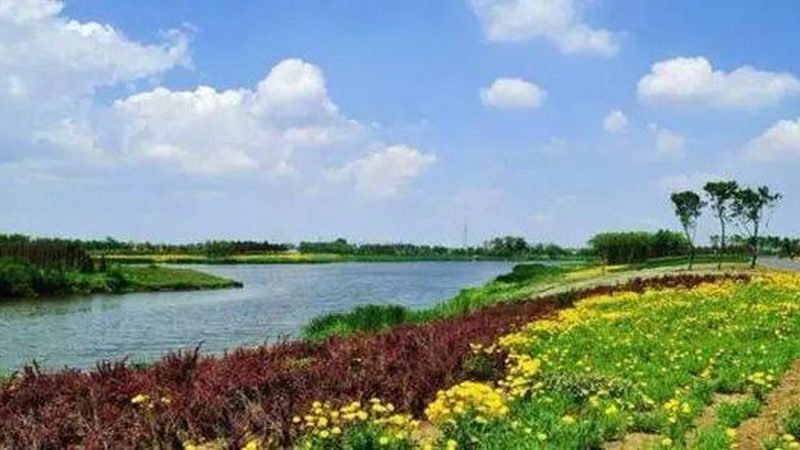 成都农产品代理加盟合同：合规要点与风险防范**