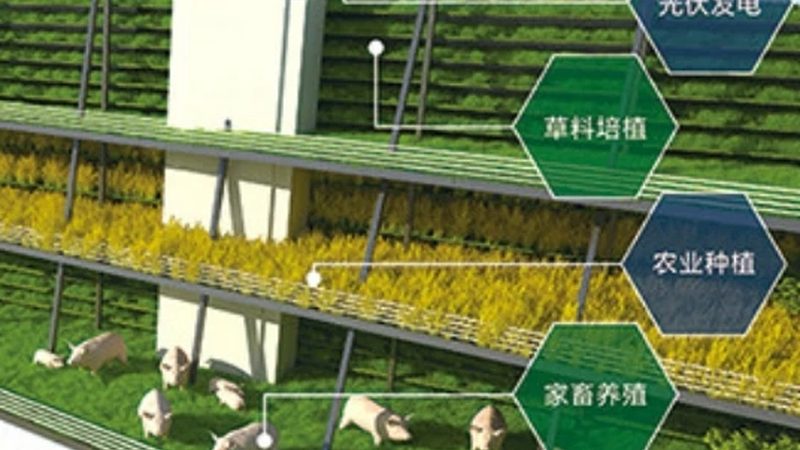 山东农产品出口报关，流程详解助力跨境贸易