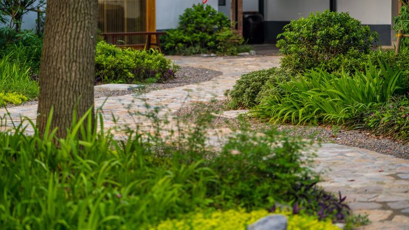 农业种植流程：从选种到收获的全程解析