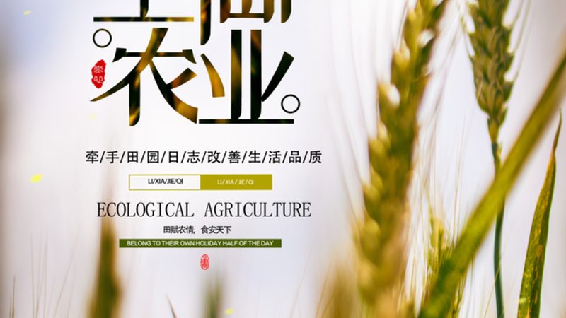 江苏现代农业产业园加盟，有哪些要求与考量？**